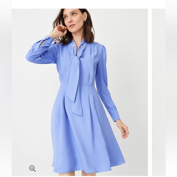 Ann Taylor Chain Tie Neck Pleated Flare Dress - Picture 1 of 5